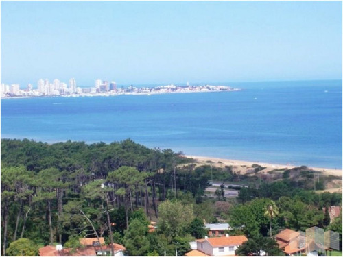 Imagen 24 de 30 de Apartamento En Punta Del Este, Mansa