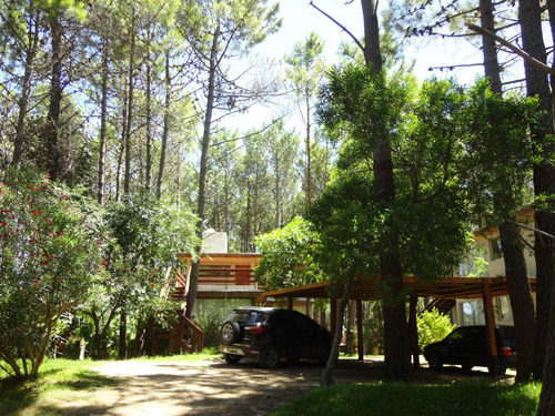 En El Bosque A 200m Del Mar, 300m Del Centro.
