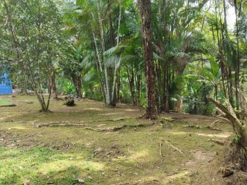 Imagem 8 de 20 de Casa - Horto Florestal - 2281