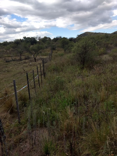 Imagen 3 de 8 de Se Vende Lote Urgente En Las Jarillas