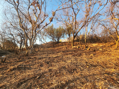 Venta Lote Jazmín De Vistas Espectaculares Con Todos Los Servicios Y Proyecto Incluído Dentro De Fracc Rancho San Diego Ixtapan De La Sal Edomex