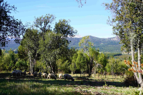 Imagen 7 de 14 de Lote De 5542m2 Con Costa De Arroyo En M. Ahogado