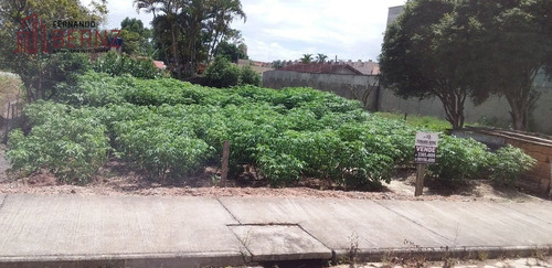 Imagem 5 de 6 de Terreno - Areias - Ref: 2716 - V-3226