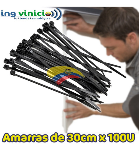 Amarras Plasticas Dexxon 30cm Dxn3012w Negras Zunchos 100u