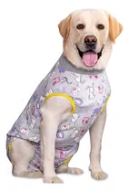 Comprar Ropa Recuperación Perros, Ropa Transpirable De Recuperación