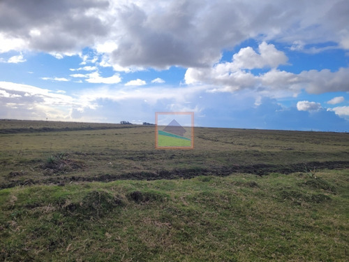 Imagen 4 de 30 de 532 Hectáreas Agrícolas Ganaderas Rocha