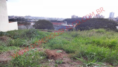 Imagem 8 de 13 de Venda - Terreno - Jardim São Domingos - Americana - Sp - D1313
