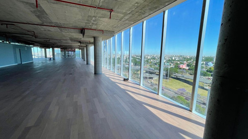 Imagen 14 de 30 de Alquiler Oficinas Espectaculares Plantas De 1385mts Divisibles - Florida - Vicente López