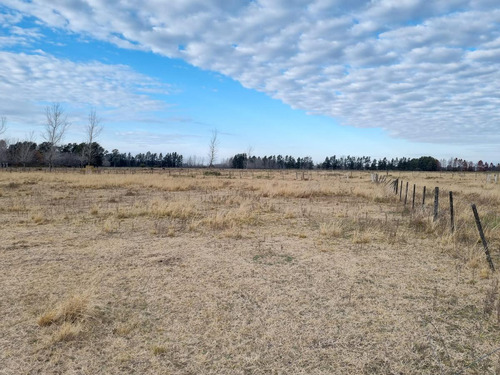 Terreno En Nuevo Alberdi Rosario