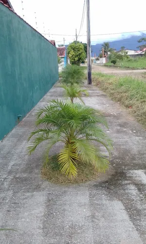Casa Térrea C/ 3 Quartos, 2 Banheiros - São João Batista Ll Peruíbe/sp
