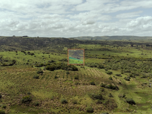 Imagen 15 de 28 de Campo 180 Hás En Altos De Carapé
