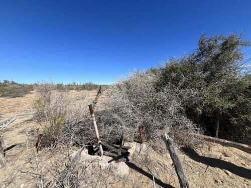 Km 43, El Mezquite De Don Dominguez