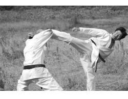 Dvd Karate Shotoka Com Tatsuya Naka Do Filme Kuro Obi