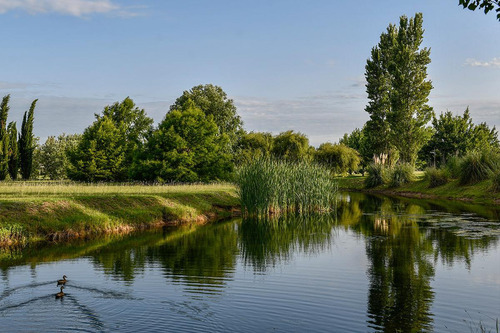 Terreno - Everlinks Golf & Country Club