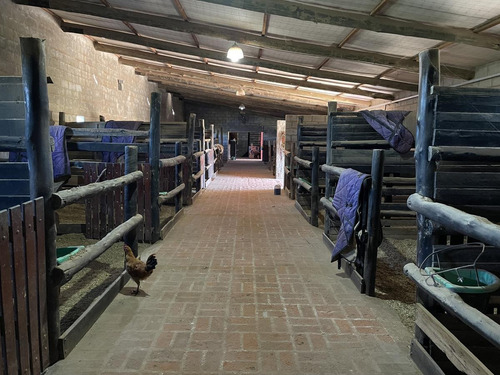 Imagen 17 de 21 de Venta Ideal Inversores (local Gastronimico-caballerizas) - La Reja Sur