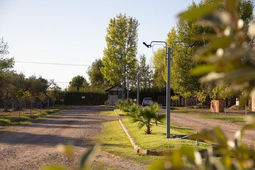 Imagen 4 de 11 de Lote De 1.732 M2 En Residencias El Chañaral