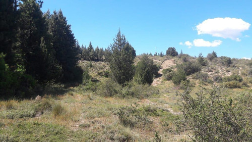 Imagen 4 de 9 de Terreno De 1500 M2 A 15 Metros Del Arroyo
