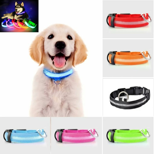Collar Led Para Mascotas De Noche Seg. 7 Colores Y Tallas