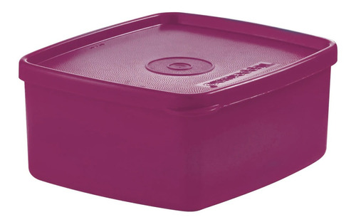 Hermetico Practifreezer 500ml Tupperware® Libre De Bpa Cuadr