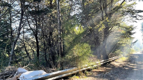 Terreno Lote  En Venta Ubicado En Península San Pedro, Bariloche, Patagonia