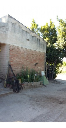 Imagen 5 de 14 de Finca En Las Paredes - 10 Hectareas 1º Regante
