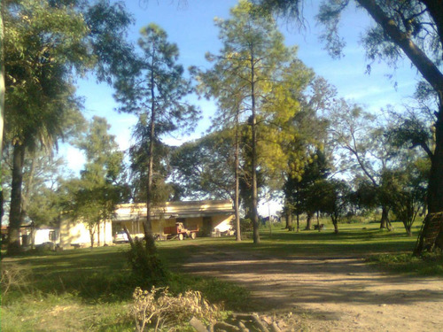 Terreno - Recreo