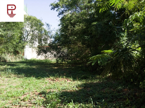 Imagen 3 de 5 de Importante Terreno Céntrico, A 1 Cuadra Del Río Iguazú, Apto Varios Destinos.
