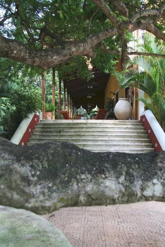 Imagen 10 de 30 de Hacienda En Venta En Yucatán Espectacular Con Lienzo - 80 Hectáreas