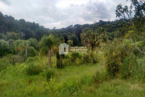 Fazenda, Agreste, Vargem Grande Paulista - R$ 7.7 Mi, Cod: 2926 - V2926