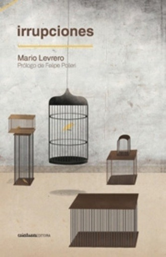 Irrupciones - Mario Levrero
