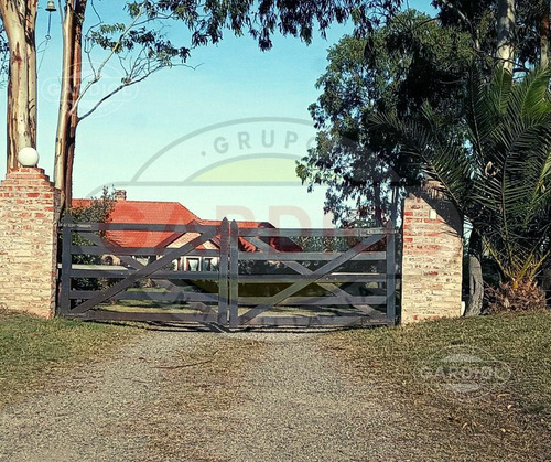Venta De Chacra En Colonia