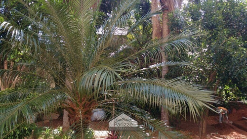 Apartamento Na Cachoeirinha - 2061-1