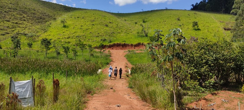 Sítio Com 30,500 M2 De Terra Com Platô