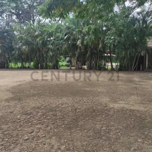 Finca En Venta Las Lapas