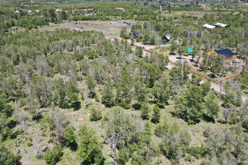 Terreno 5.000 M2 Sector Los Ñirres, Malalcahuello