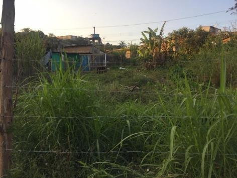 Imagem 2 de 4 de Terreno Na Vila Pomar - Ven29
