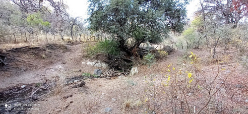 Imagen 15 de 21 de C07 119 Has De Campo Ganadero En San Carlos Mina