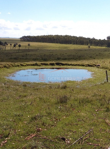 Campo A La Venta En Rocha, Castillos, Ganadero Turístico 67 Hás- Ref: 27063