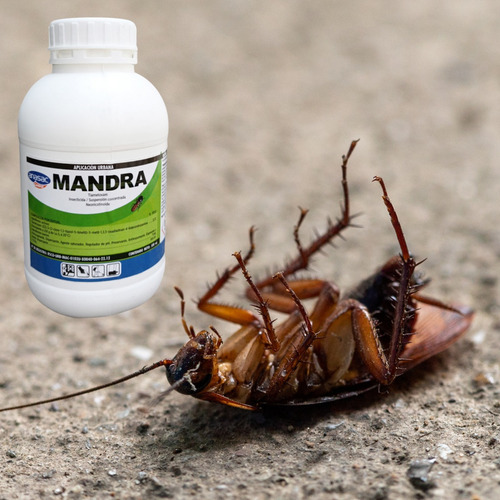 Veneno Para Chinches De Cama Insecticida Para Chinches 500ml
