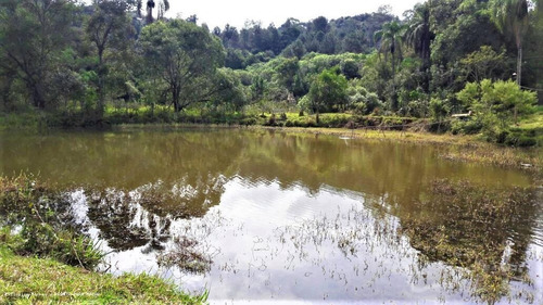Imagem 12 de 15 de Sítio / Chácara Para Venda Em Bragança Paulista, Sítio, Lago, 3 Alqueires Completo, 3 Dormitórios, 1 Suíte, 3 Banheiros, 9 Vagas - 3040_1-1915641