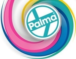 Imagen 2 de 5 de Rastrillo Plastico N° 2 Grande Sin Cabo Palma Real