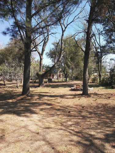 Imagen 7 de 21 de Excelente Quinta Sobre El Río Coronda