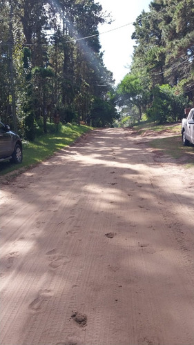 Imagen 4 de 4 de Lote Con Buena Ubicación, Y Abundante Forestación En Mar Azul.