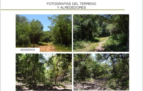 Imagen 3 de 6 de Terreno En Venta En Montemorelos, N.l.
