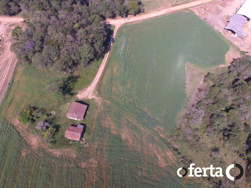 Imagem 5 de 14 de Terreno - Serrinha - Ref: 147 - V-147