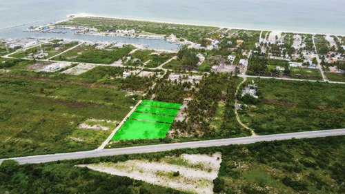 Imagen 5 de 30 de Lote En La Marina Telchac