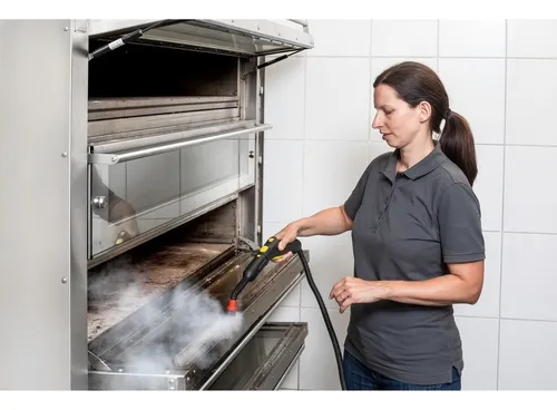 Vaporizador Profesional Karcher Sg 4/4 Eu