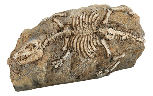 Decoração De Fóssil De Dinossauro De Aquário Dinossauro De R