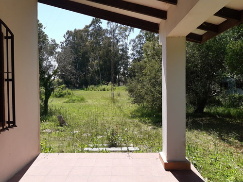 Imagen 4 de 29 de Casa Quinta En Punta Indio