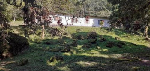 Imagem 5 de 11 de Chácara Em Peruíbe, No Bairro Armando Cunha, Analisa Veículo Como Parte Do Pagamento Ref: 8690/ac